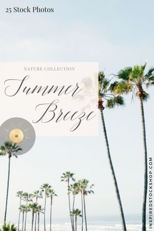 Summer Breeze Collection