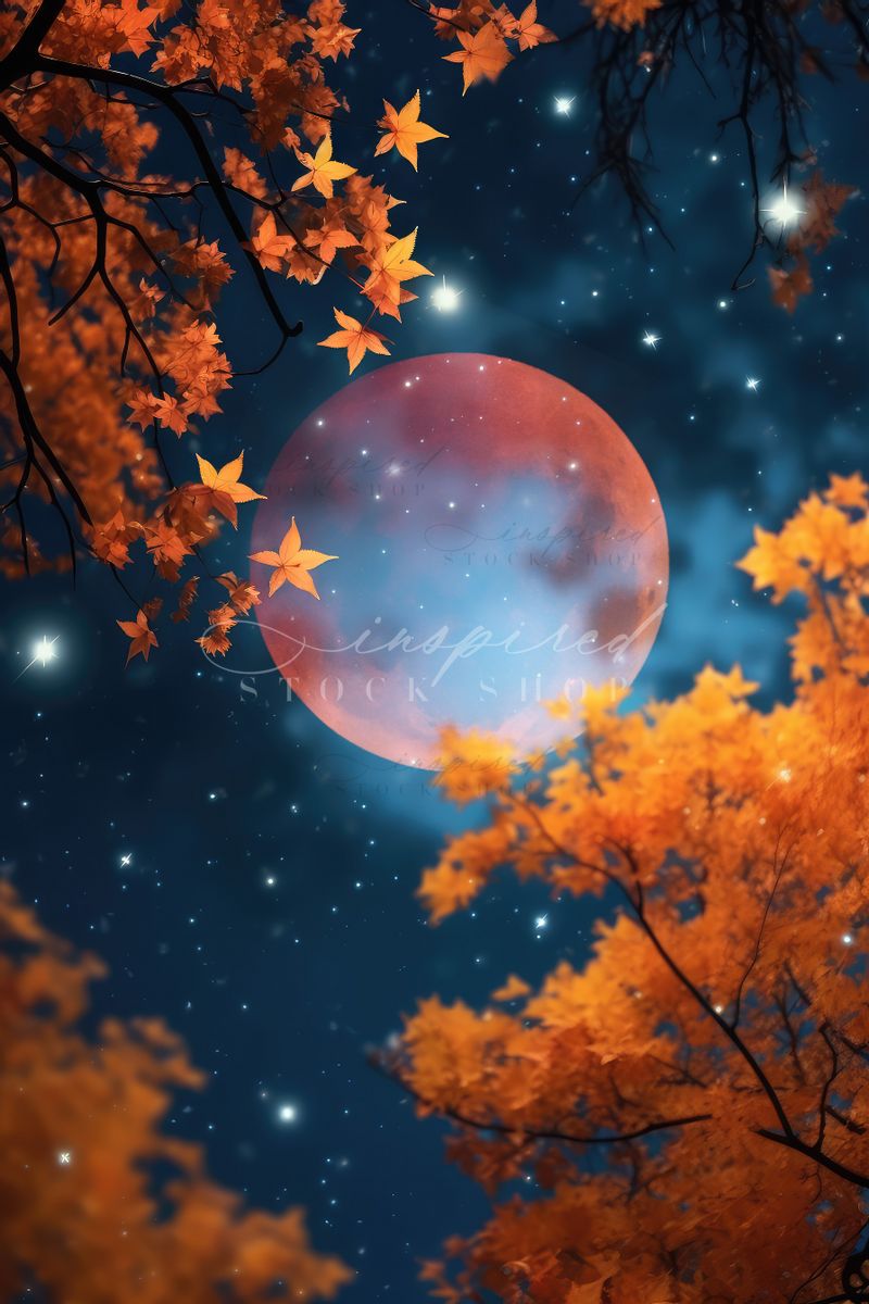 ISS Harvest Moon Inspired Stock Shop