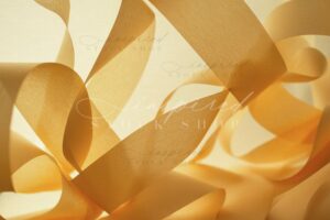 ISS Embodied Essence 11