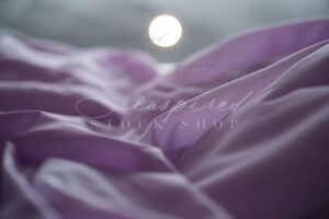 ISS Embodied Essence 5