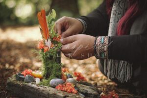 ISS Autumn Offerings 14