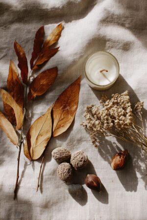 ISS Autumn Offerings 21