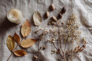 ISS Autumn Offerings 22