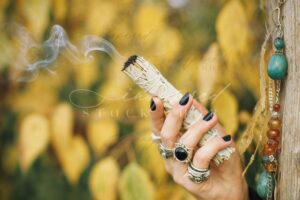 ISS Autumn Offerings 6