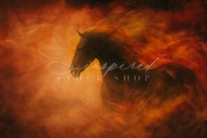 ISS Year Fire Horse 1