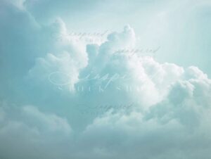 Embodied Elements 5