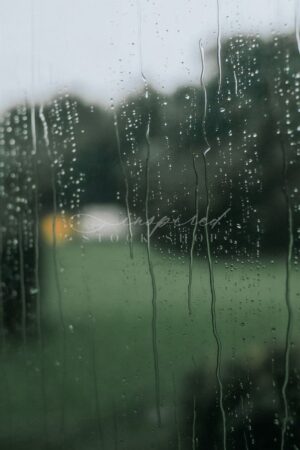 Embodied Elements 7