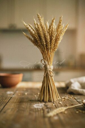 ISS Seasonal Living 12