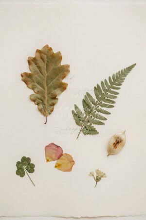 ISS Seasonal Living 9