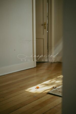 ISS Slow Ritual 14